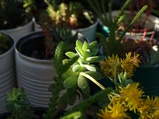 ../thumbnails/064-065.jpg.small.jpeg